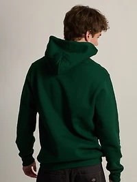VARSITY MICHIGAN STATE SPARTANS HOODIE