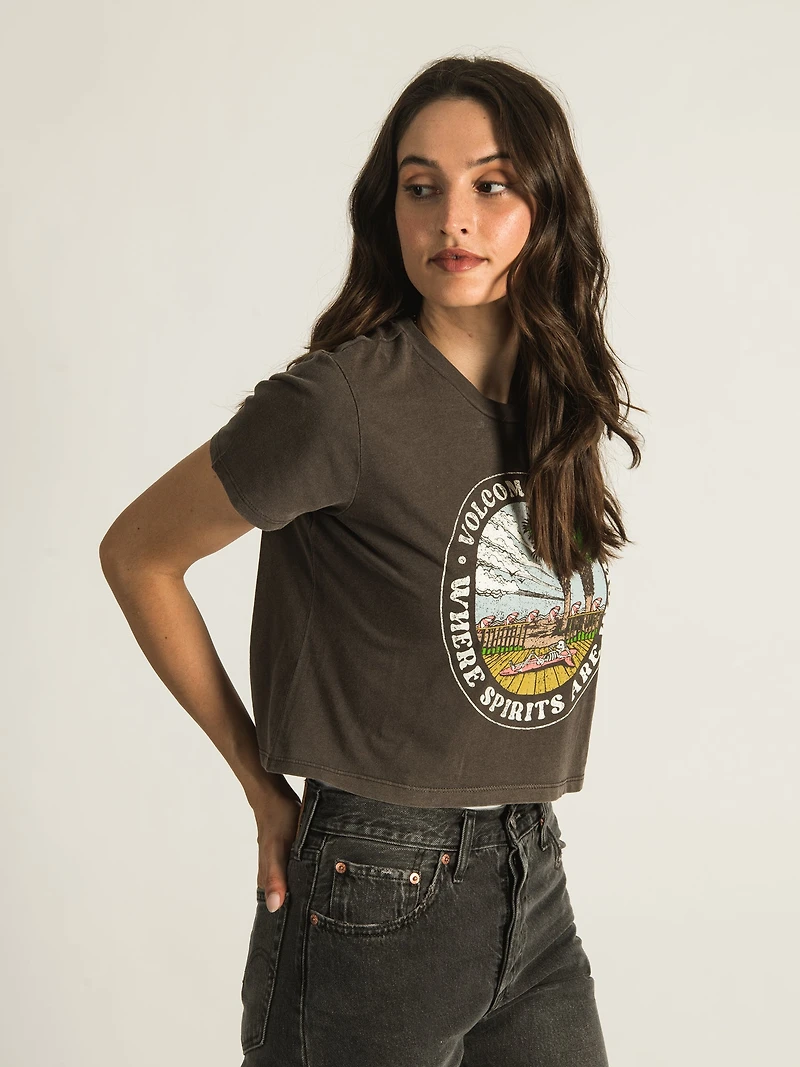 VOLCOM ENTERNET T-SHIRT - CLEARANCE