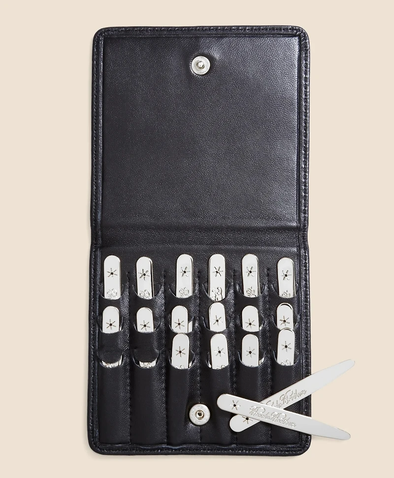 Metallic Collar Stays with Nappa Leather Case