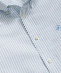 Boys Non-Iron Stretch Cotton Striped Oxford Sport Shirt