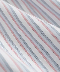 Stretch Cotton Non-Iron Oxford Polo Button Down Collar, Triple Stripe Shirt