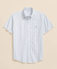Stretch Cotton Non-Iron Oxford Polo Button-Down Collar, Outline Stripe Short-Sleeve Shirt