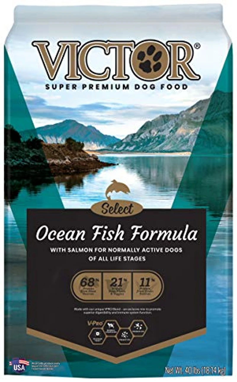 - Dog Food - Grain In Ocean Fish
