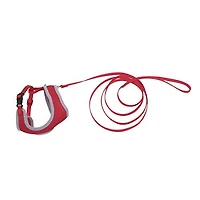 Coastal - Cat Harness & Leash - Red Comfort Soft