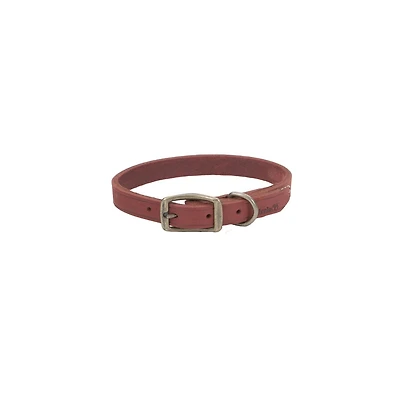 Leather Dog Collar