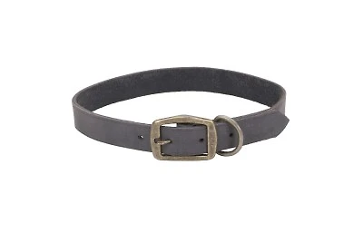 Coastal - Leather Dog Collar - Grey