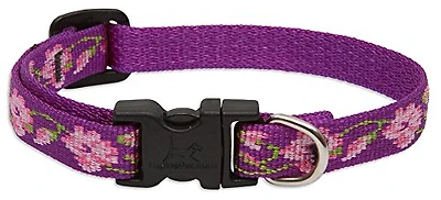 Lupine - Dog Collar - Rose Garden