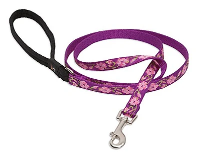 Dog Leash