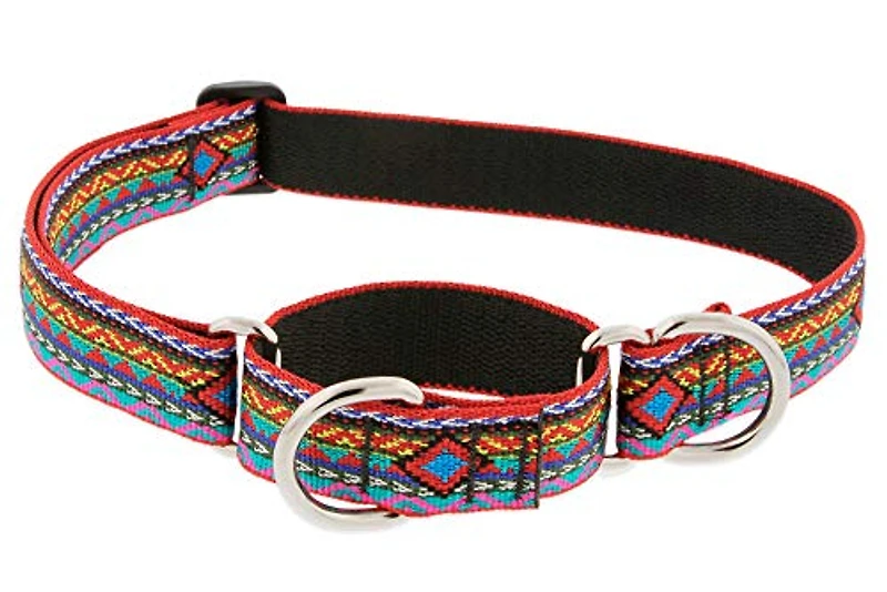 Lupine - Dog Martingale Collar - El Paso