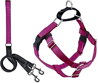 - Dog Harness - Raspberry