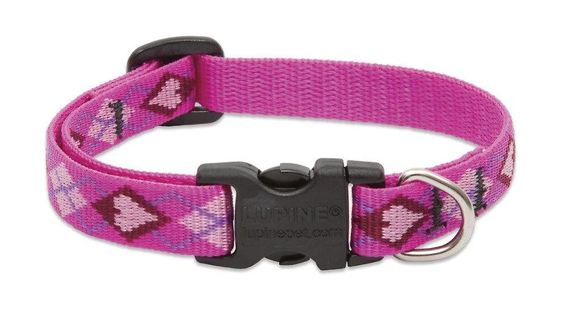 Dog Collar