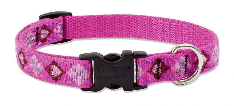 Lupine - Dog Collar - Puppy Love
