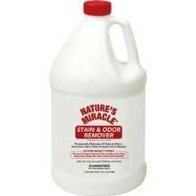 - Enzymatic Stain & Odor Remover