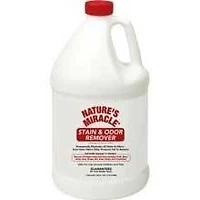 - Enzymatic Stain & Odor Remover