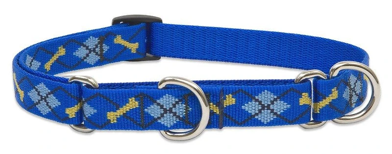 Lupine - Combo Collar - Dapper Dog