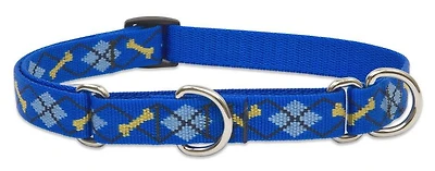 Lupine - Combo Collar - Dapper Dog