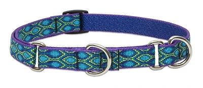 - Combo Collar - Rain Song