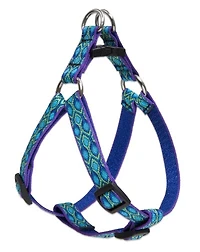 Harness