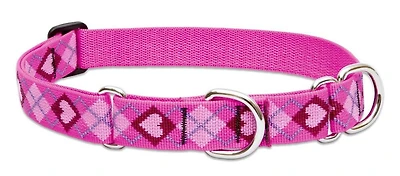 Lupine - Combo Collar - Puppy Love