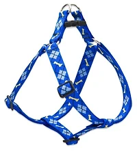 Harness