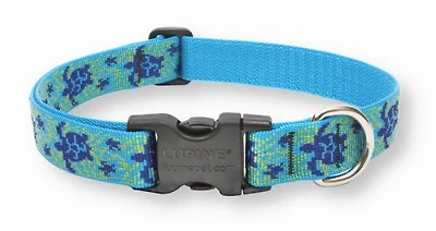 Lupine - Dog Collar - Turtle Reef