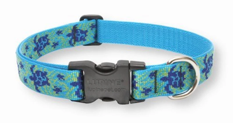 Lupine - Dog Collar - Turtle Reef