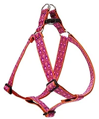 Lupine - Harness - Alpen Glow