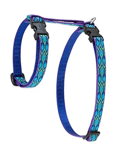 - Cat Harness - Rain Song - 1/2" Wide