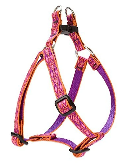Harness