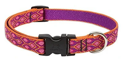 Lupine - Dog Collar - Alpen Glow