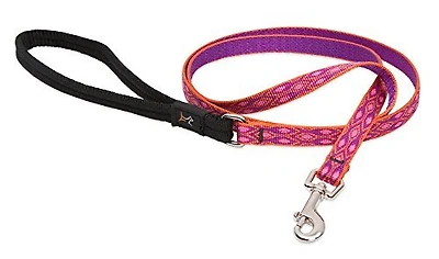 Lupine - Lead - Alpen Glow