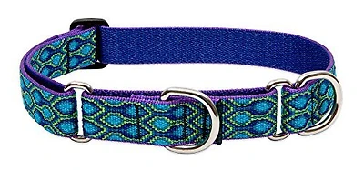Lupine - Combo Collar - Rain Song