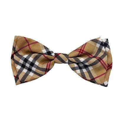 Bow Tie