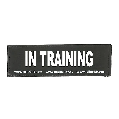 - Patch - In Training