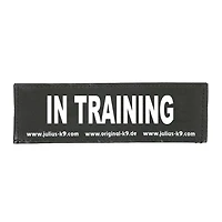 - Patch - In Training