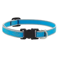 Dog Collar