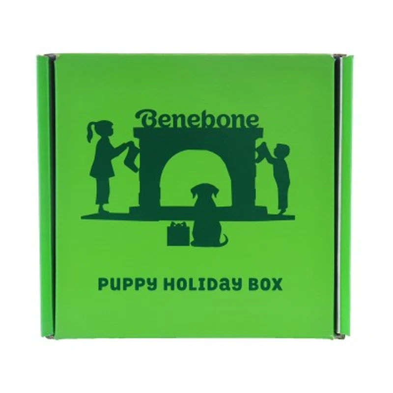 Benebone - Dog Chew Toy - Puppy 4 Pack