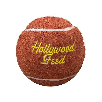 Dog Toy - Tennis Ball