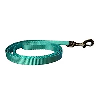 Ohio Made - Dog Leash - Teal
