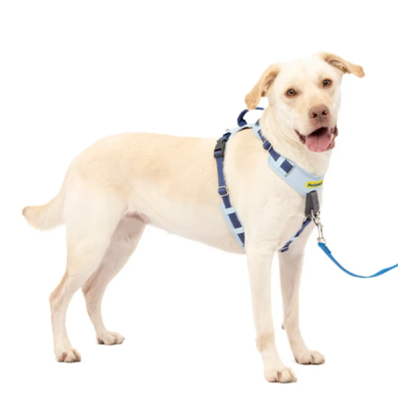 - No Pull Easy Walk® Comfort Dog Harness - Padded Adjustable Front & Back Clip for Training & Control