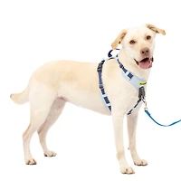 - No Pull Easy Walk® Comfort Dog Harness - Padded Adjustable Front & Back Clip for Training & Control