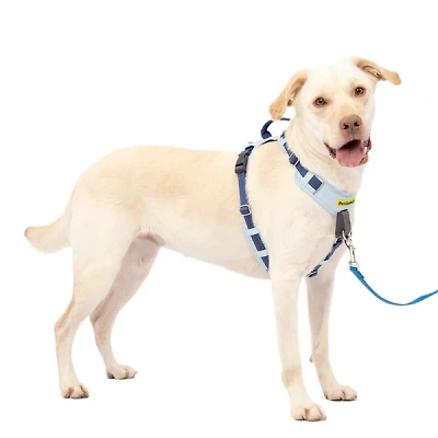 - No Pull Easy Walk® Comfort Dog Harness - Padded Adjustable Front & Back Clip for Training & Control
