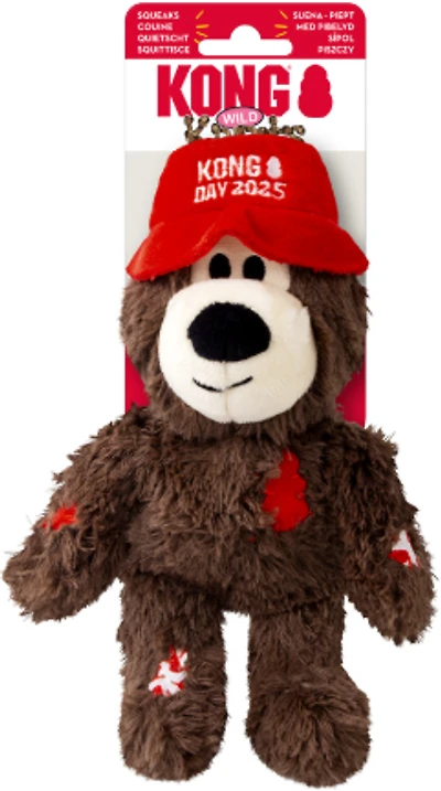- Dog Toy - Wild Knots Kong Day Bear