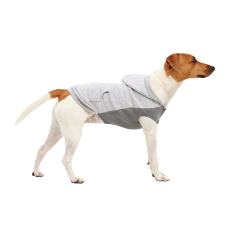 Dog Hoodie