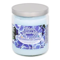 Specialty Pet - 13oz Candle - Pet Odor Exterminator with Enzymes - Blue Serenity Scent