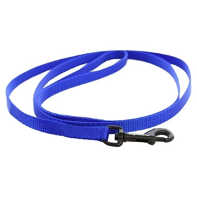 Nylon Dog Leash - Blue