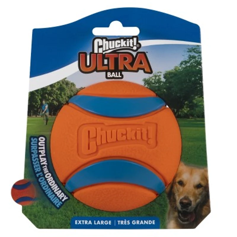 Dog Toy
