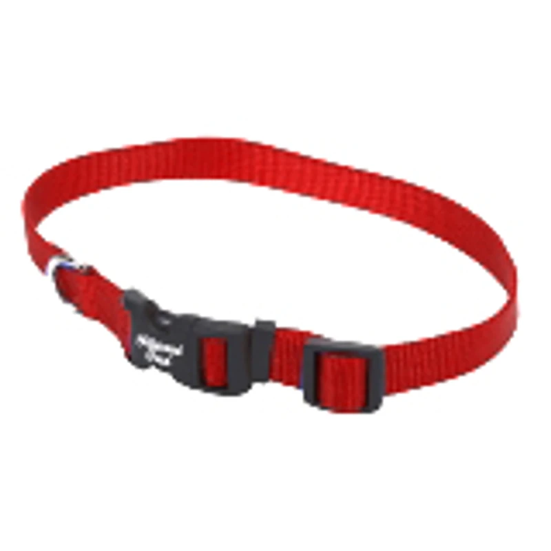 Nylon Dog Collar