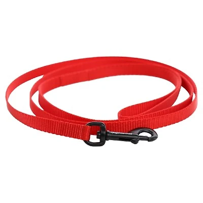 Nylon Dog Leash