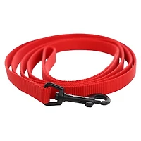 Nylon Dog Leash